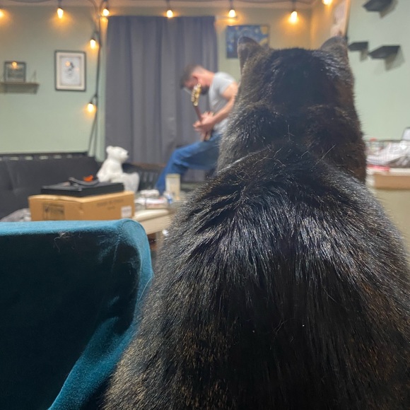 Meet your Posher, Valeri - Picture 12 of 14